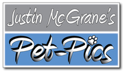 Pet-Pics Pet Photography Service